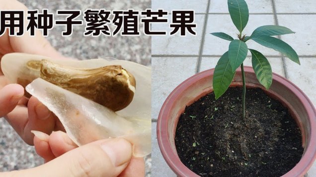 便荔卡包有取现功能吗？