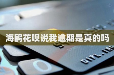 海鸥花呗平台是真的吗
