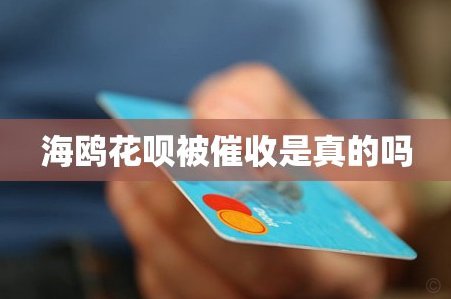 海鸥花呗平台是真的吗