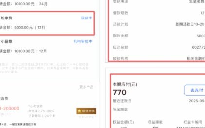 便荔卡包正规吗？借款风险须注意