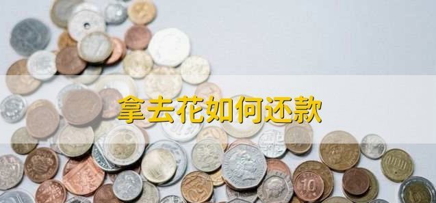 携程拿去花支付酒店的轻松指南