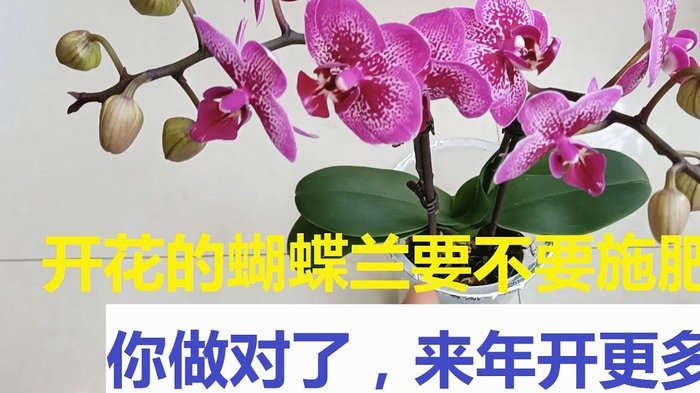 花呗未来何去何从？官方回应来了