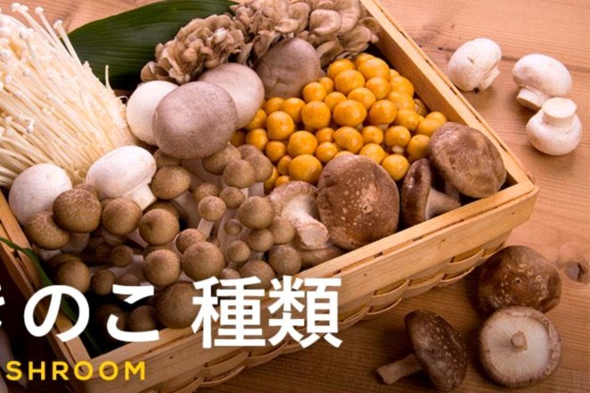 解析24小时金融即时结算服务的技术逻辑与风险防控