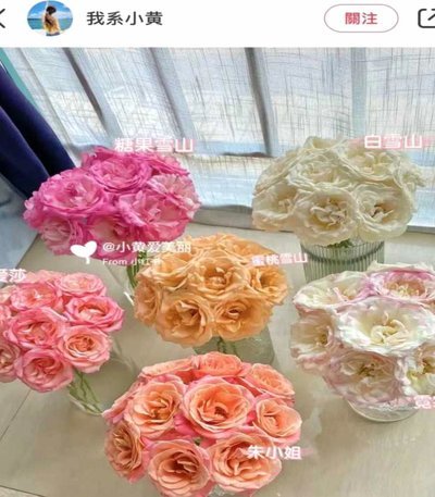 拿去花哪里可以套