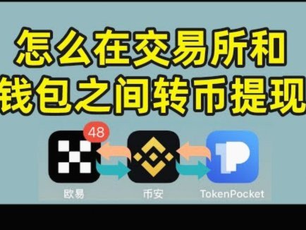 便荔卡包取现额度如何高效利用