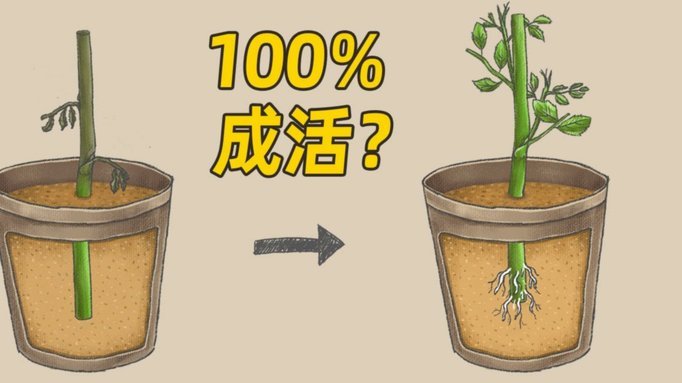 套花呗的方法