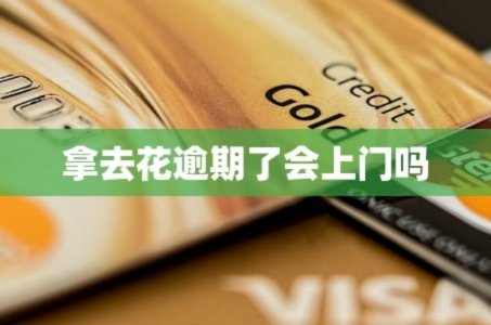 拿去花小额快速自套