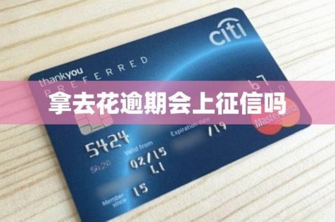 拿去花小额快速自套