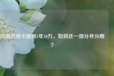 分期卡取10万最简单方法