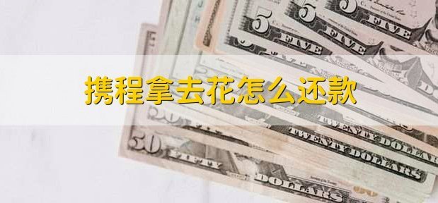 携程网的拿去花怎么提现