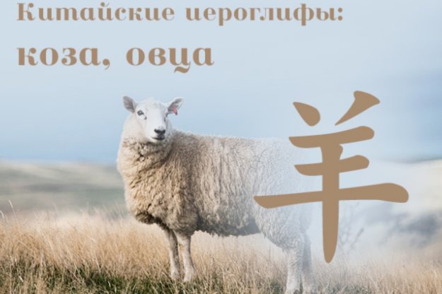 羊小咩额度怎么套出来使用