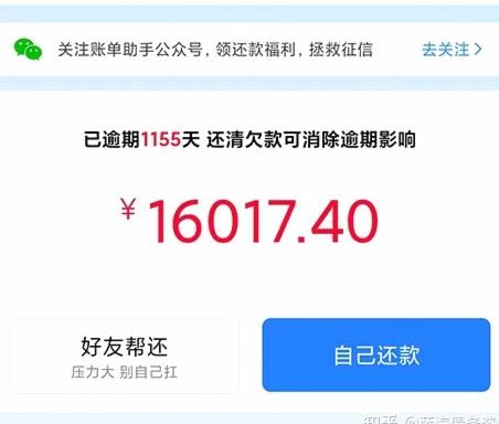分期乐现在的利息是多少?