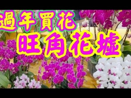 花呗取现有利息吗