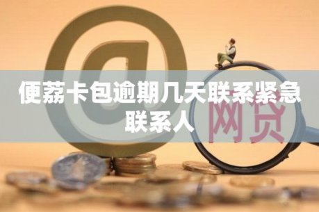 便荔卡包额度如何智慧运用