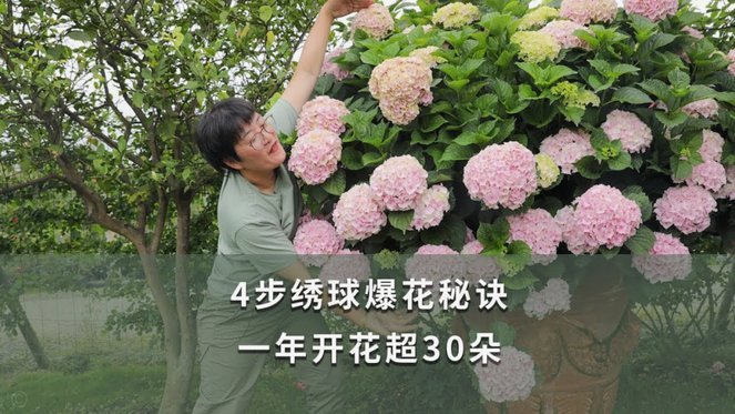怎样套取花呗里的现金