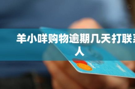 羊小咩的资金密码