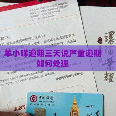 羊小咩怎么贷款的