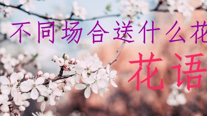 花呗分期套现平台哪个好