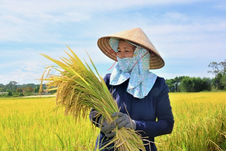 花呗突然用不了？这可能是这些原因