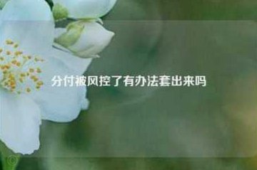 分付套现商户