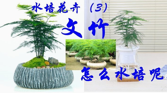 花呗怎么怎么套出来