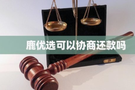 鹿优选如何还款更安全