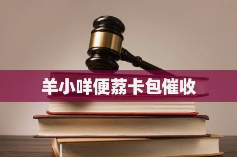 羊小咩便荔卡数码秒回收
