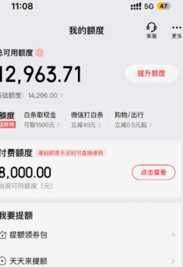如何提升白条消费额度