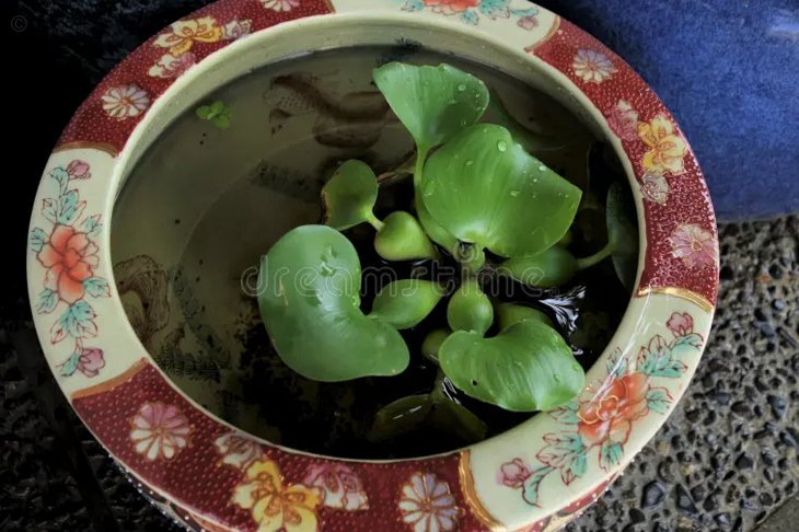海鸥花呗取现：安全可靠吗？