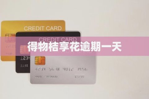 得物借钱提现到账方式详解