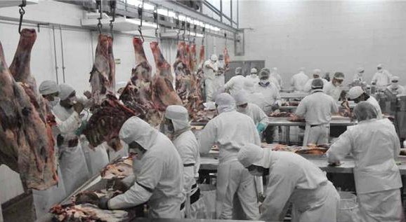 阿根廷取消禽肉牛肉出口关税