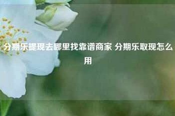 分期乐借款额度怎么用