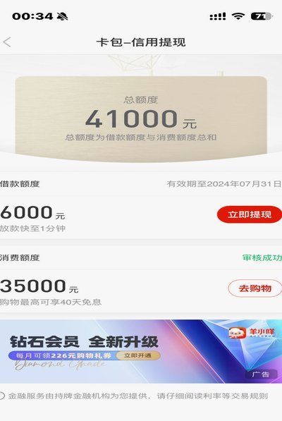 详解羊小咩消费额度获取方式与积分增值技巧