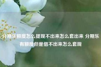 分期乐有额度就是借不出来